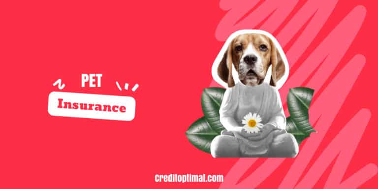 pet insurance 1200x600 px